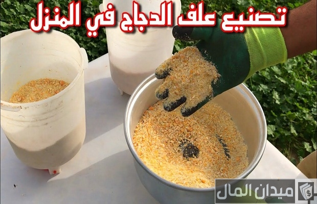 دليل عناوين وأرقام شركات إضافات الأعلاف في مصر أفضل شركات إضافات الأعلاف في مصر