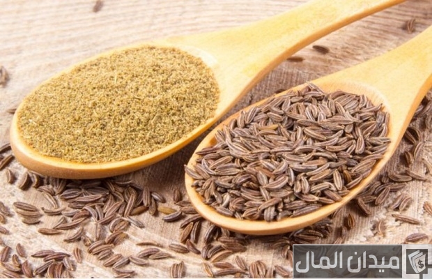 أنواع الكمون أنواع الكمون