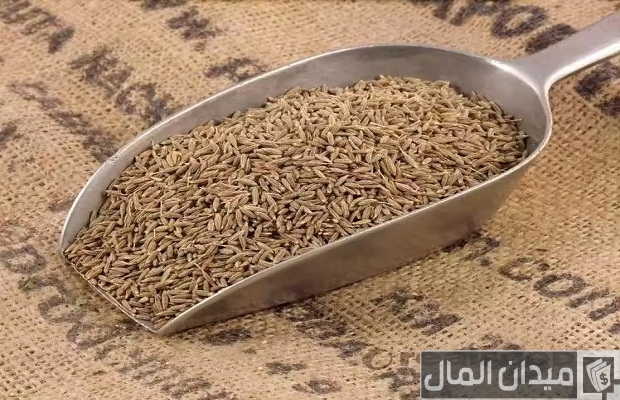 أنواع الكمون أنواع الكمون