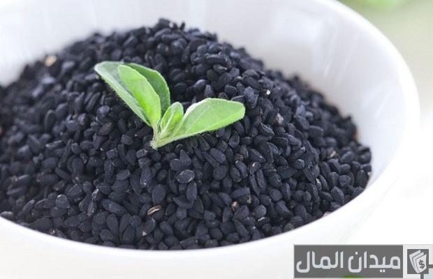 أنواع الكمون أنواع الكمون