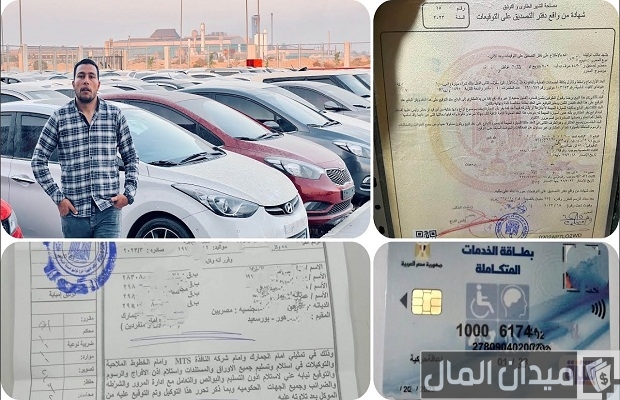 "وزارة التضامن" توضح الحالات التي تستحق سيارات المعاقين في القانون الجديد الحالات التي تستحق سيارات المعاقين في القانون الجديد
