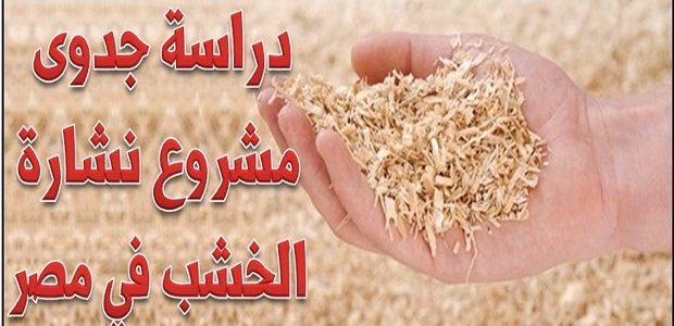 هل مشروع نشارة الخشب فاشل أم مربح؟.. "ميدان المال" يجيب مشروع نشارة الخشب فاشل أم مربح