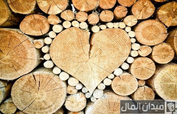 هل مشروع نشارة الخشب فاشل أم مربح؟.. "ميدان المال" يجيب مشروع نشارة الخشب فاشل أم مربح