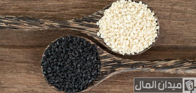 أنواع السمسم للزراعه والتسمين أفضل أنواع السمسم