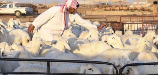 ما هو الفرق بين الحري والنعيمي الفرق بين الحري والنعيمي