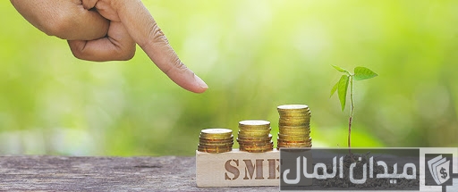 شروط تمويل المشروعات الصغيرة من الصندوق الاجتماعي تمويل المشروعات الصغيرة