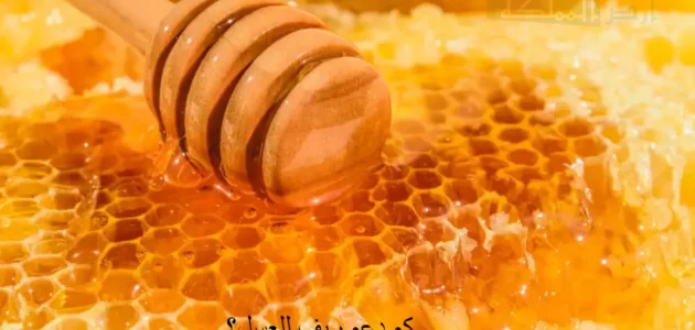 كم دعم ريف للعسل وشروط استحقاق دعم النحالين ريف كم دعم ريف للعسل