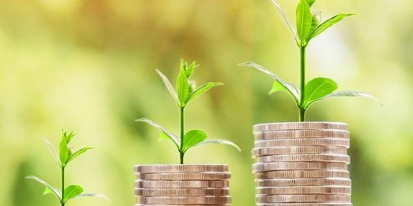 كيف تصبح تاجر بدون رأس مال؟.. "ميدان المال" يجيب كيف تصبح تاجر بدون رأس مال