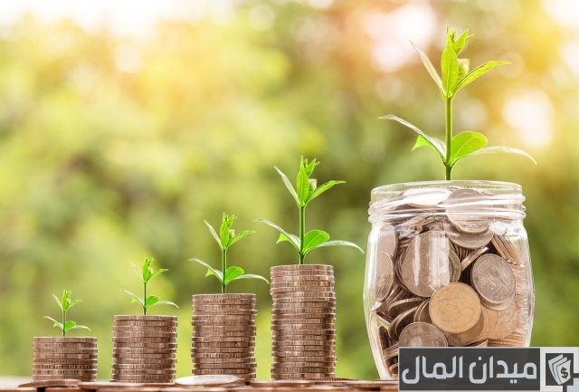 ما هي شهادات الاستثمار ومميزاتها وعيوبها؟ ما هي شهادات الاستثمار ومميزاتها وعيوبها؟