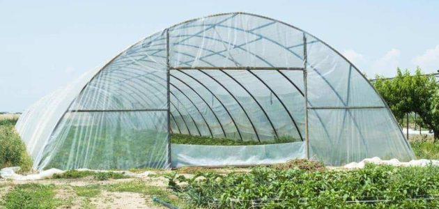 دراسة جدوى مشروع الصوب الزراعية مشروع الصوب الزراعية
