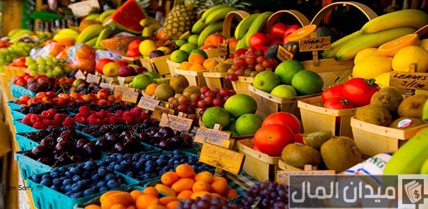 مشروع توزيع مواد غذائية بالسعودية وكم نسبة الربح في تجارة المواد الغذائية؟ مشروع توزيع مواد غذائية بالسعودية