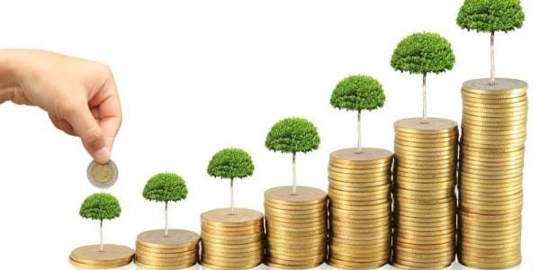 تجارة مربحة من المنزل برأس مال صغير تجارة مربحة بكل المقاييس