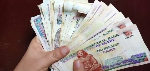 دراسة جدوى مشروع برأس مال 15 ألف جنيه مشروع برأس مال 15 ألف جنيه