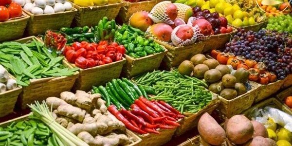 مشروع توزيع الخضار على المحلات