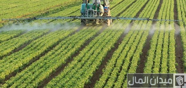 أشهر المحاصيل الزراعية في الوطن العربي أشهر المحاصيل الزراعية في الوطن العربي