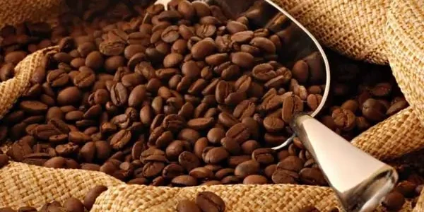 أنواع البن المستورد أفضل أنواع البن المستورد