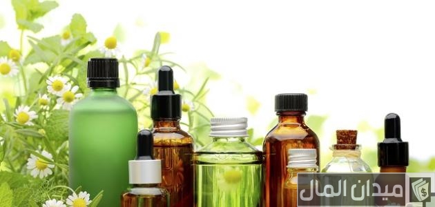 أنواع النباتات التي تتحول إلى منتجات صناعية أنواع النباتات التي تتحول إلى منتجات صناعية