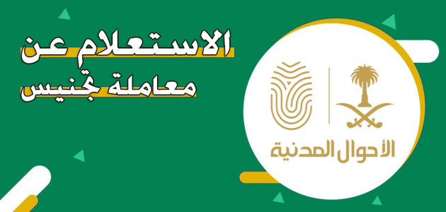 عبر "أبشر" تعرف على خطوات الاستعلام عن معاملة تجنيس استعلام عن معاملة تجنيس