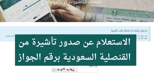 "منصة التأشيرات" الاستعلام عن صدور تأشيرة من القنصلية السعودية برقم الجواز إلكترونيًا الاستعلام عن صدور تأشيرة