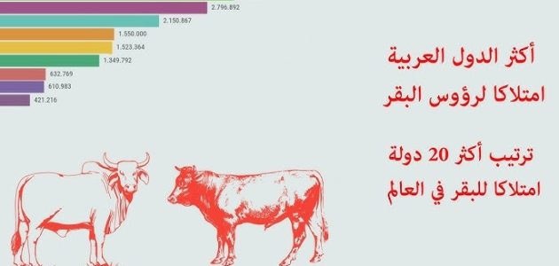 ترتيب الدول العربية من حيث عدد الأبقار في 2025: من الأولى؟ وأين تقع مصر والسعودية الدول العربية الأكثر امتلاكًا للأبقار