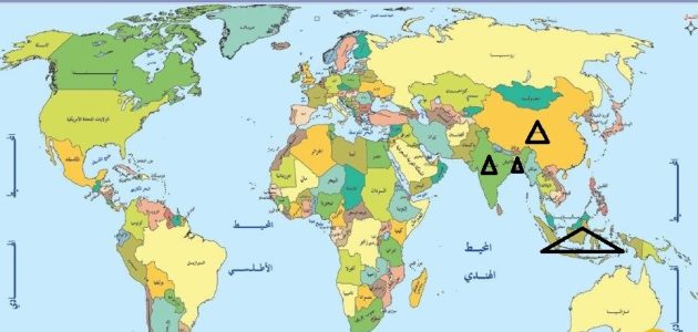 خريطة الدول المصدرة والمستوردة للأرز عالميًا: من يسيطر على سوق الأرز في 2025 خريطة الدول المصدرة والمستوردة للأرز