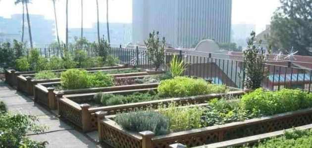خطوات زراعة أسطح المنازل من البداية للنهاية كيفية زراعة أسطح المنازل