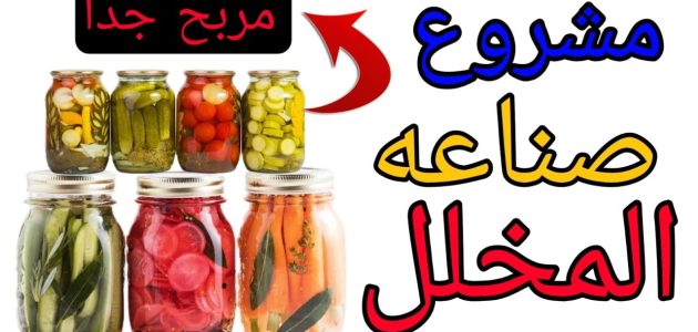 دراسة جدوى مشروع صناعة المخللات بالتفصيل في المنزل مشروع صناعة المخللات