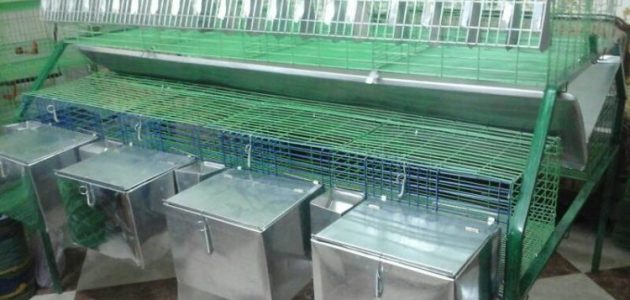 دراسة جدوى مشروع صناعة بطاريات أرانب مشروع مربح جداً وأرباحه الشهرية مشروع صناعة بطاريات أرانب